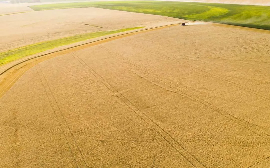 Agriculture Photography from the Sky: Agricultural Drone Services