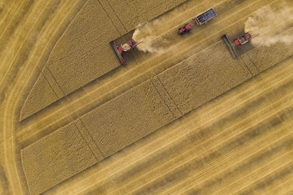 Agriculture drone photography