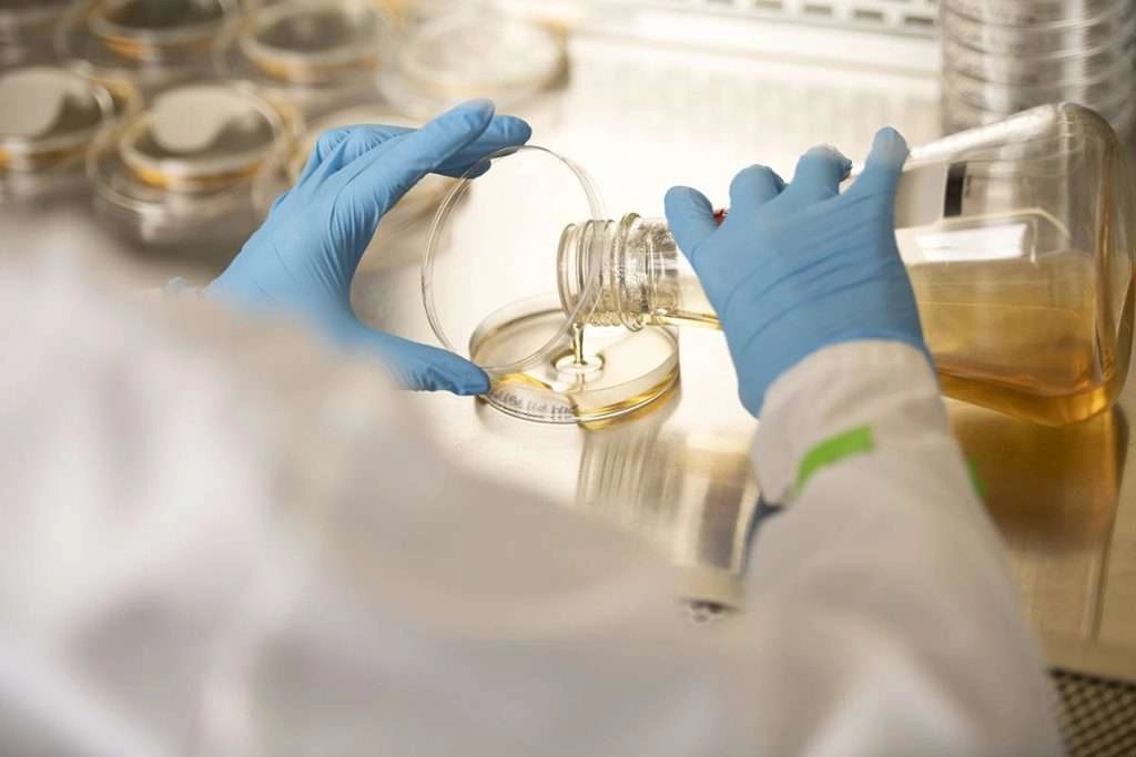 Scientist pours beaker in dish