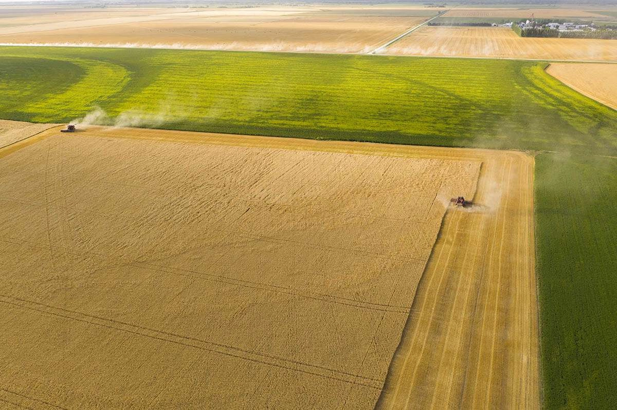 Patterns are formed in the landscape from harvesting grain. © robert lowdon