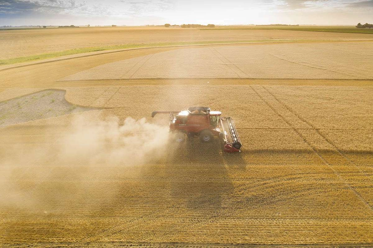 Tracking the combine through the dust cloud. © robert lowdon