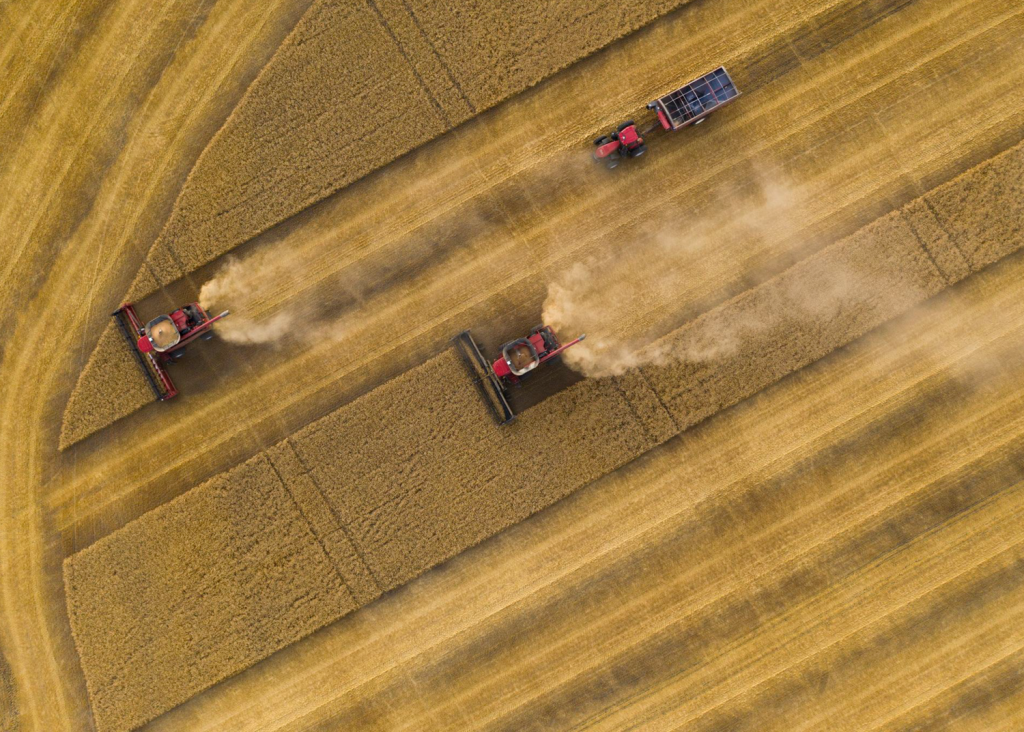 Agriculture drone image