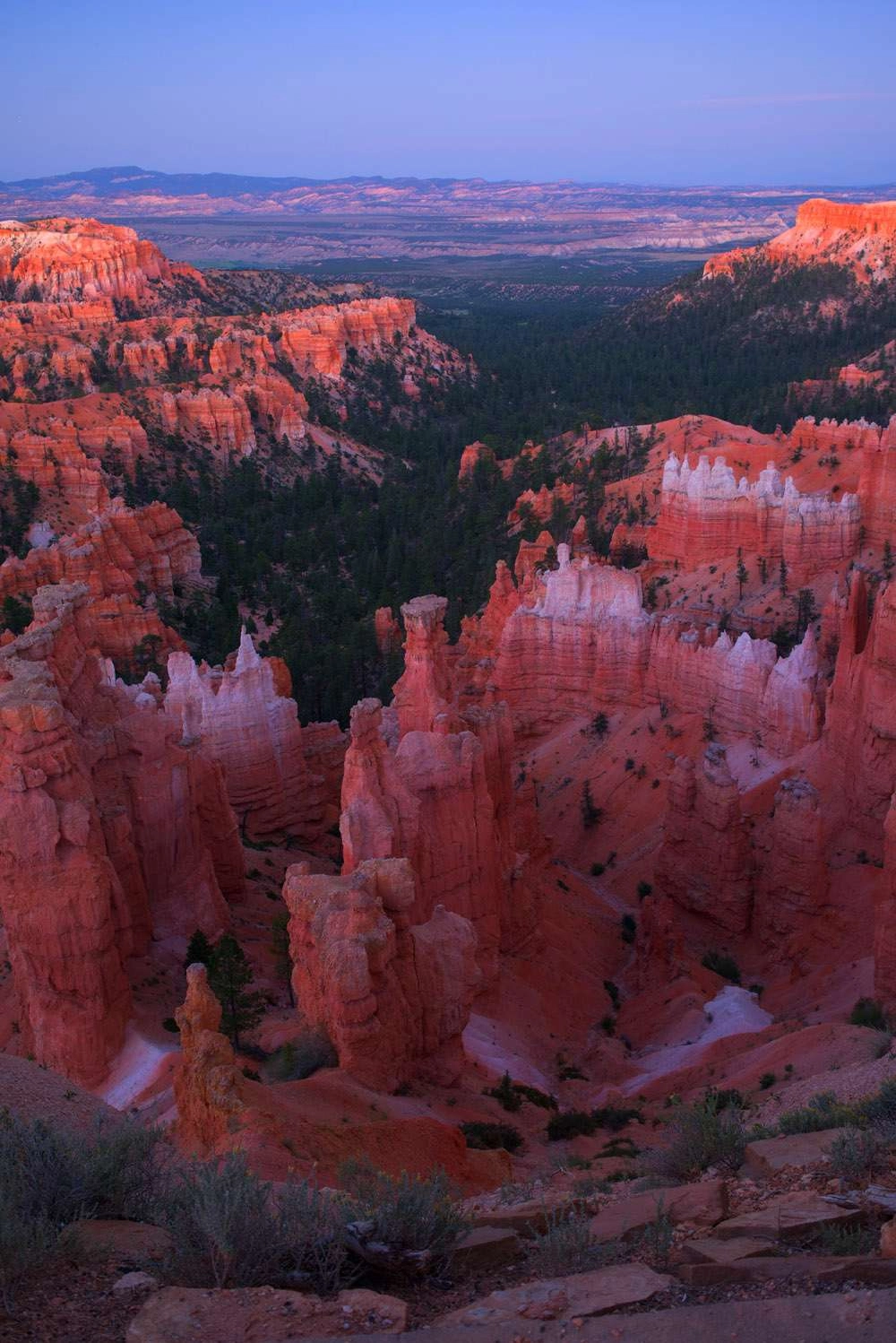 The colors of bryce canyon glow in the orange landscape