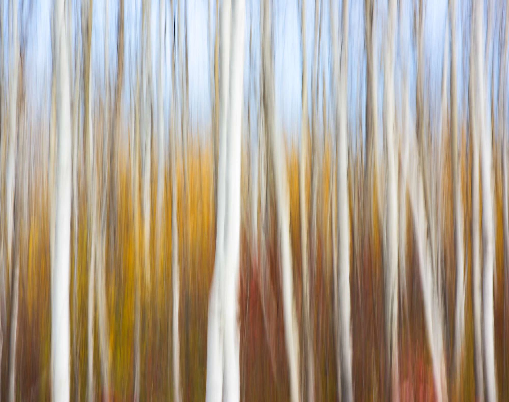 10 abstract photography tips for capturing unique images
