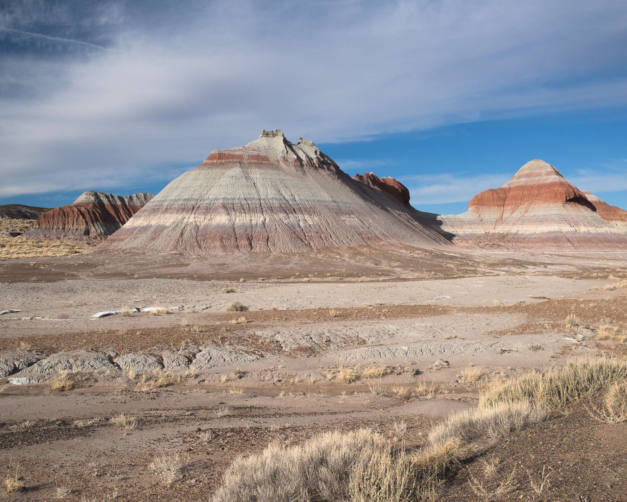 Hills in petrified forest