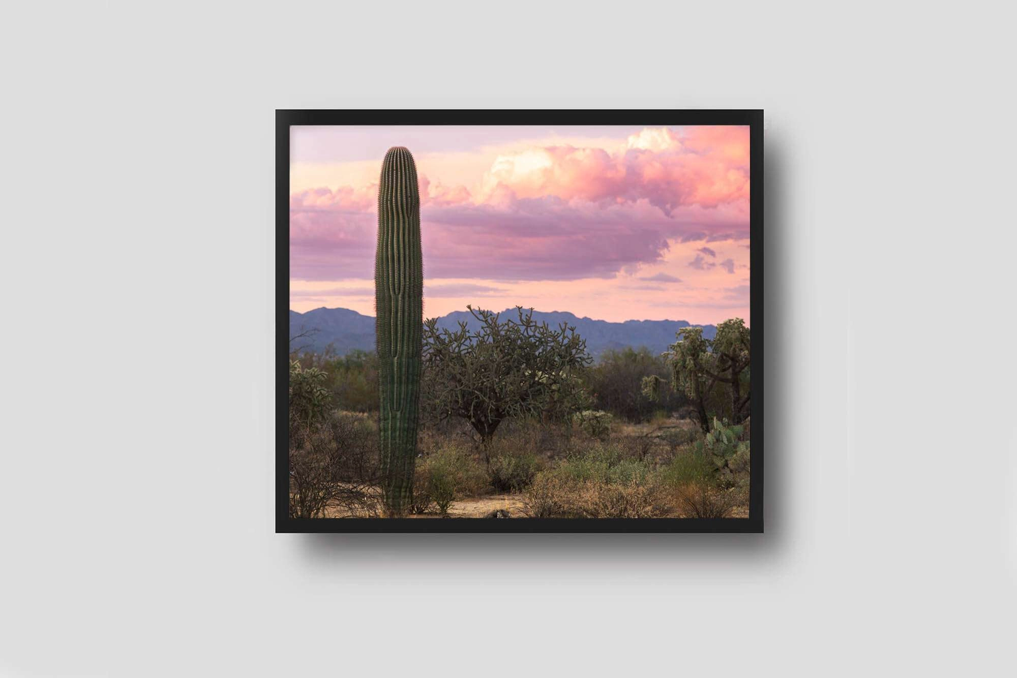 Arizona-desert-photography-framed. Jpg
