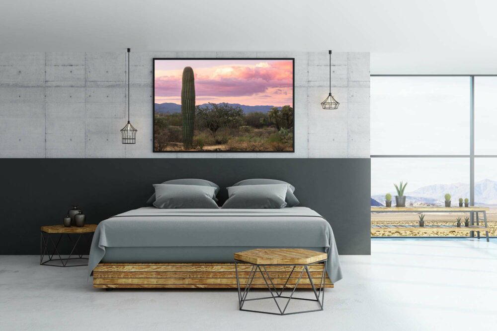 cactus-artwork-hung-in-bedroom.jpg