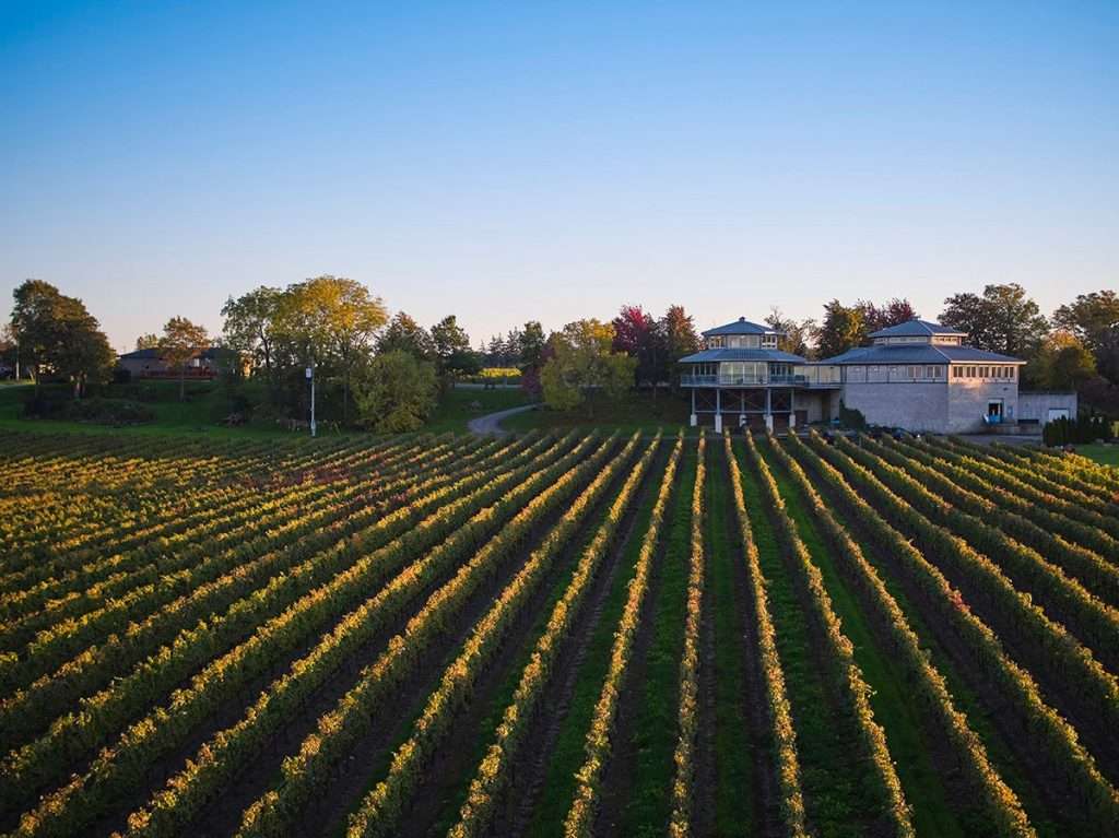 Drone image of winery