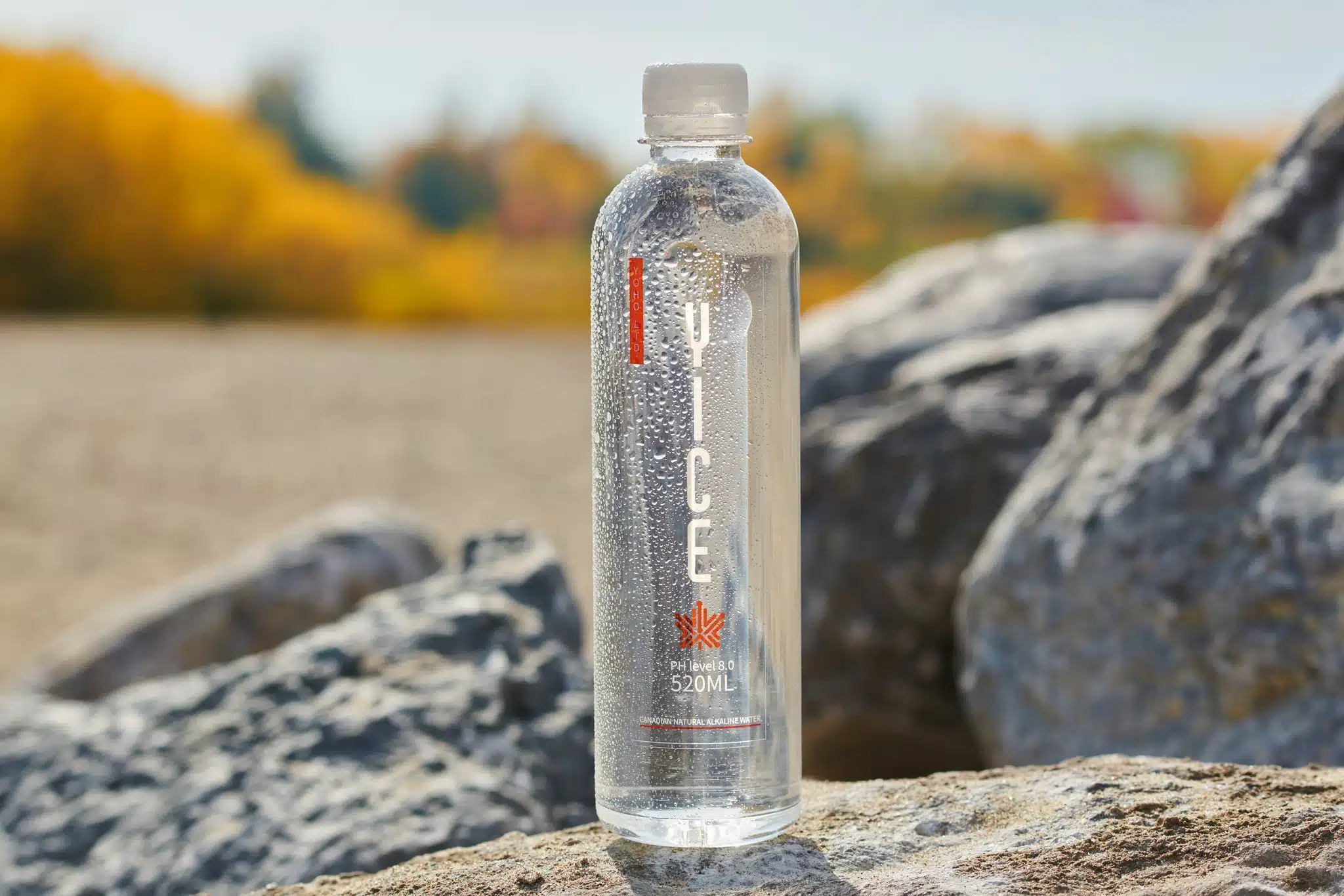 Product photo of water on a rock with fall leaves in the background.
